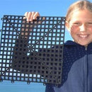 MegaChess Dark Rubberized Vinyl 12" Square |  | MegaChess.com