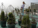 MegaChess 37 Inch Topiary Wire Frame Giant Chess Set |  | MegaChess.com