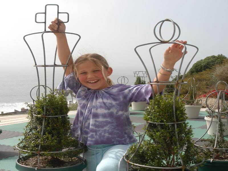 MegaChess 37 Inch Topiary Wire Frame Giant Chess Set |  | MegaChess.com