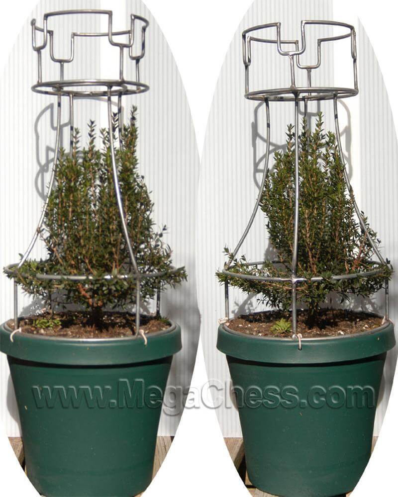 MegaChess 37 Inch Topiary Wire Frame Giant Chess Set |  | MegaChess.com