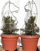 MegaChess 37 Inch Topiary Wire Frame Giant Chess Set |  | MegaChess.com