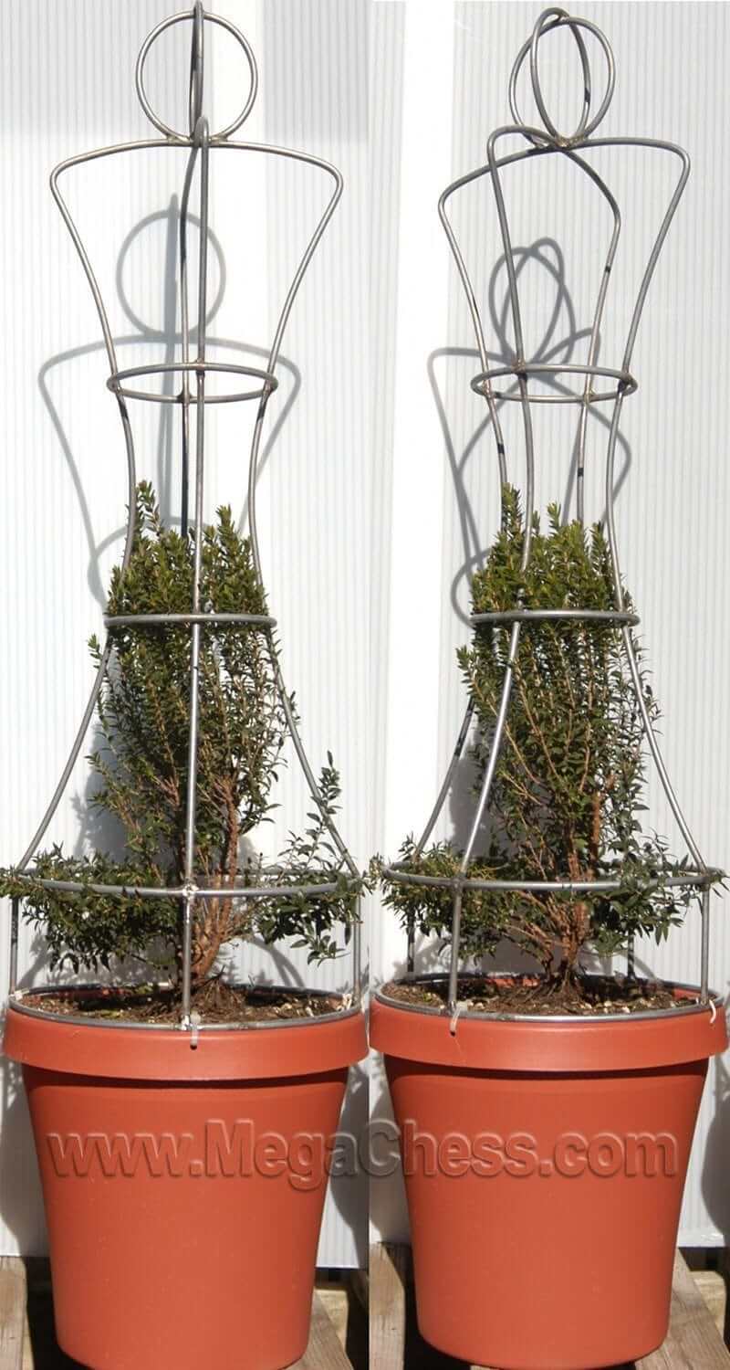 MegaChess 37 Inch Topiary Wire Frame Giant Chess Set |  | MegaChess.com